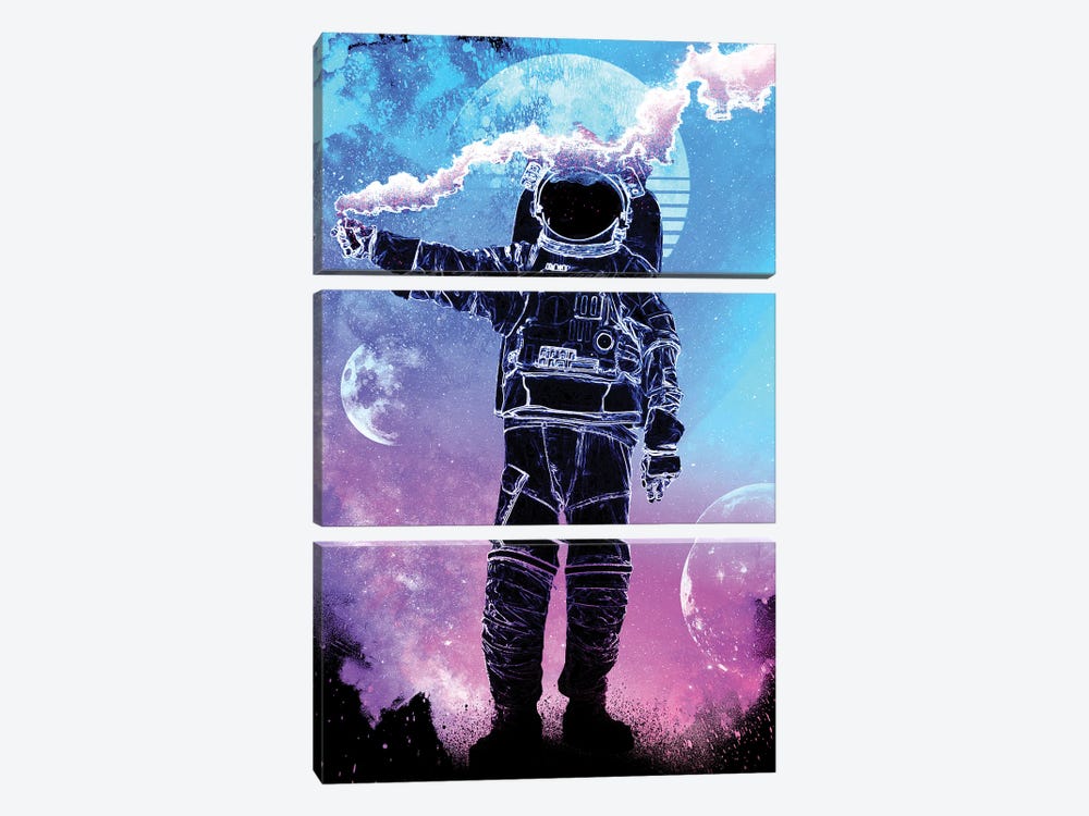 Soul Of The Astronaut by Donnie Art 3-piece Canvas Wall Art