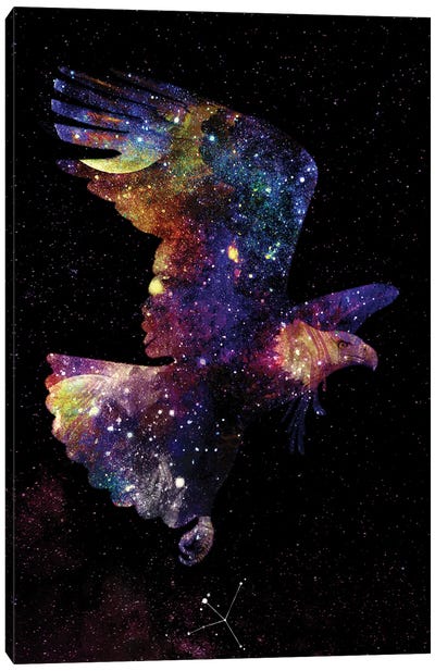 Aquila Galaxy Canvas Art Print - Donnie Art
