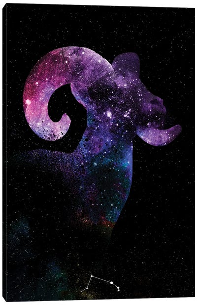 Aries Galaxy Canvas Art Print - Rams