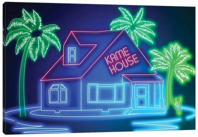 Neon House Canvas Art Print - Donnie Art