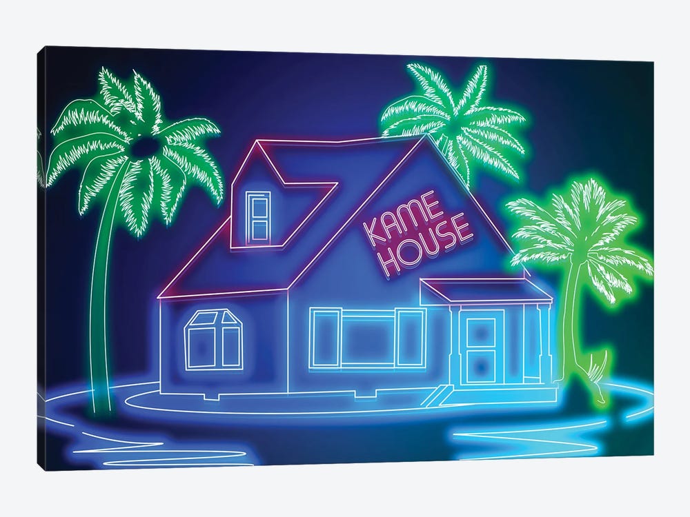 Neon House by Donnie Art 1-piece Canvas Wall Art