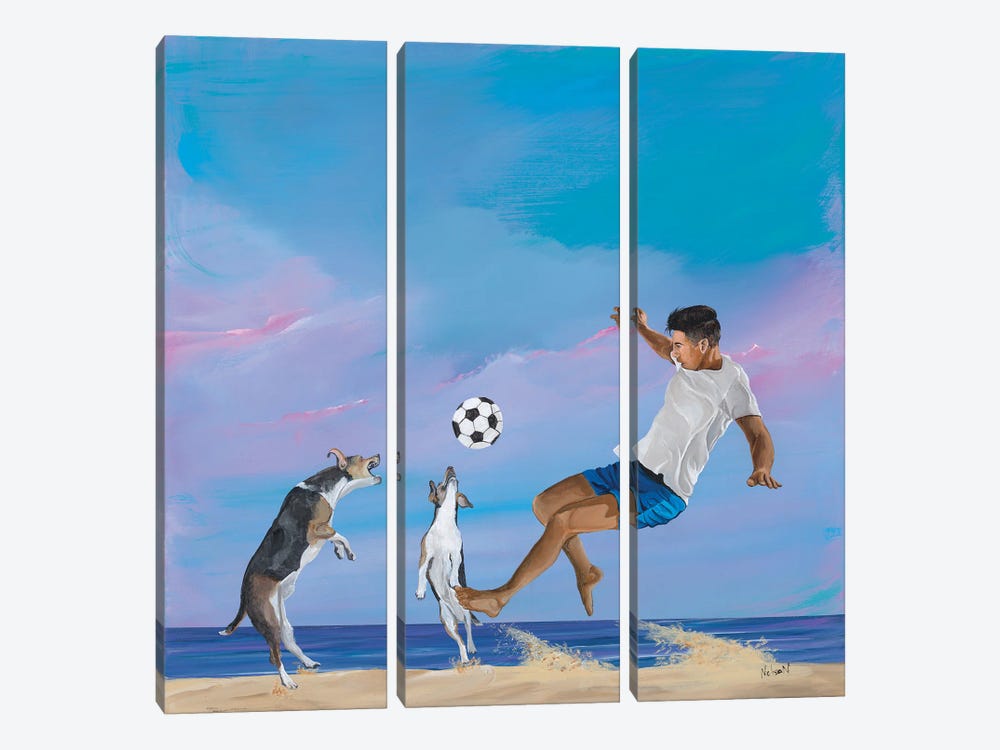 Soccer Boys by Dan Nelson 3-piece Canvas Artwork