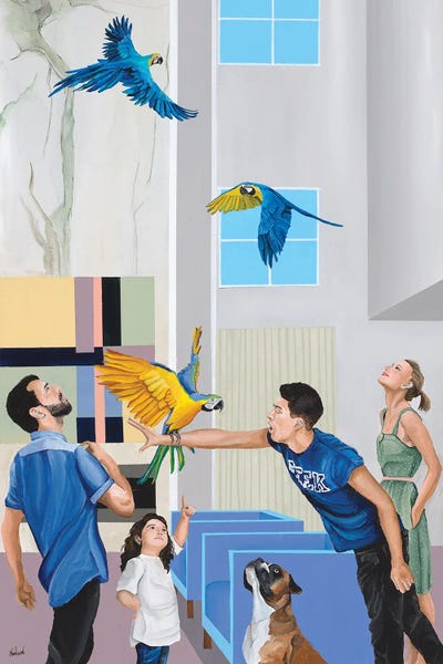 Boxers: Who Let The Birds Out by Dan Nelson