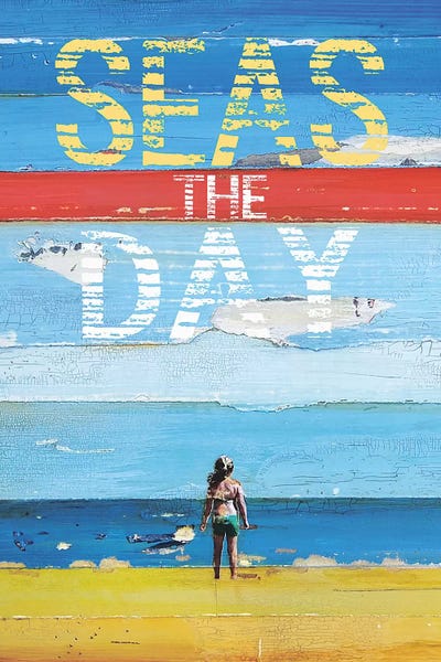 Seas The Day by Danny Phillips framed canvas print