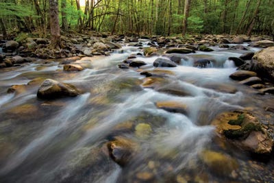 Golden Flow by Danny Head metal wall art