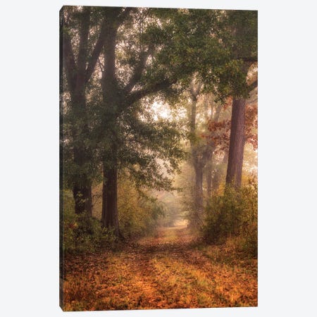 Autumn's Walk I Canvas Print #DNY114} by Danny Head Canvas Wall Art