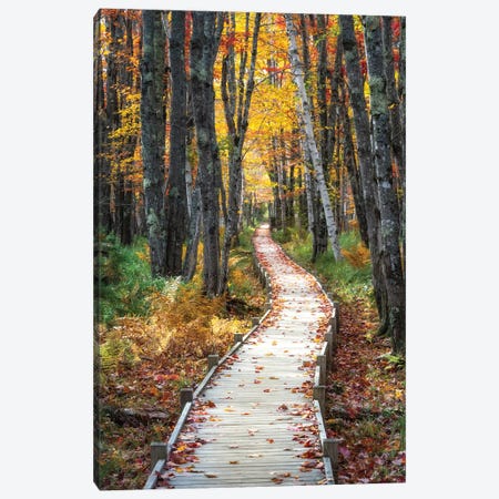 Autumn Boardwalk I Canvas Print #DNY146} by Danny Head Art Print