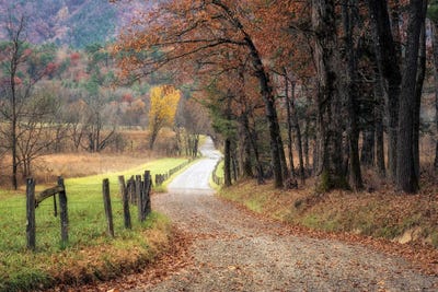 Autumn Drive I by Danny Head metal wall art