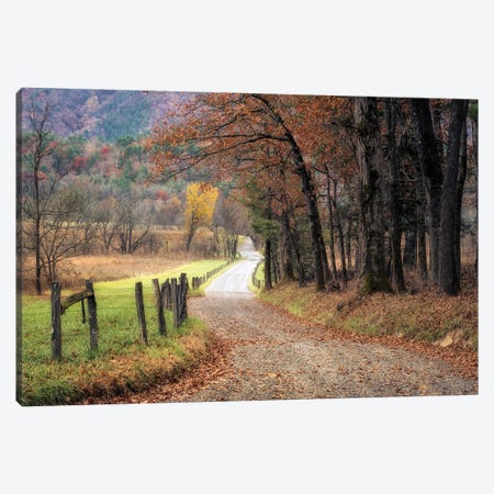 Autumn Drive I Canvas Print #DNY147} by Danny Head Canvas Print