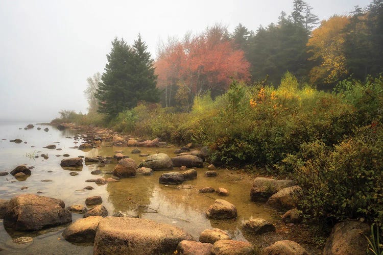 Misty Maine by Danny Head wall art