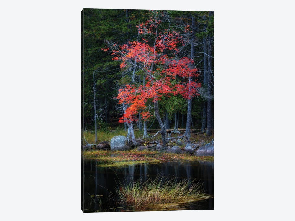 Red Reflections I by Danny Head 1-piece Canvas Wall Art