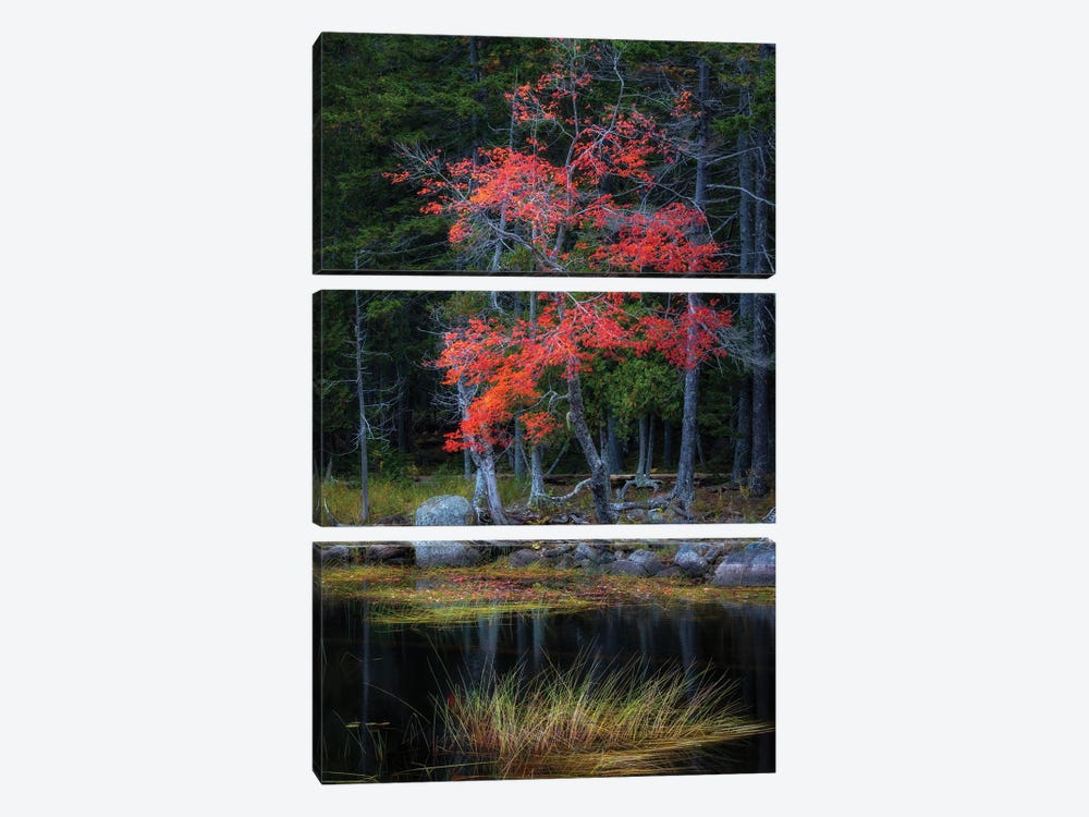 Red Reflections I by Danny Head 3-piece Canvas Artwork