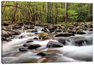Rocky Flow Canvas Art Print - River, Creek & Stream Art