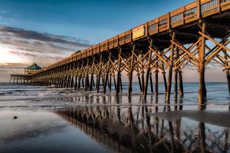 Sun Bath On Folly Beach by Danny Head wall art