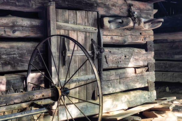 Danny Head: The Yolk by Danny Head