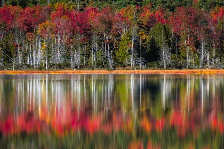 Autumn Reflections