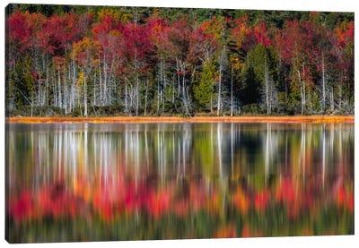Autumn Reflections Canvas Art Print - Danny Head