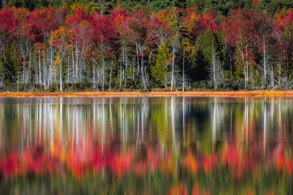 Danny Head: Autumn Reflections by Danny Head