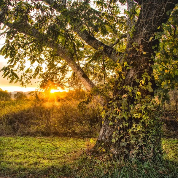 Danny Head: Calling It A Day by Danny Head