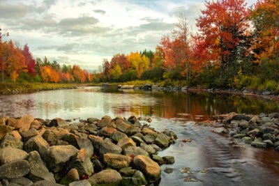 Northeast Creek by Danny Head metal wall art