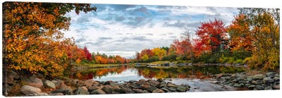 Northeast Creek Panorama Canvas Art Print - Forest Art