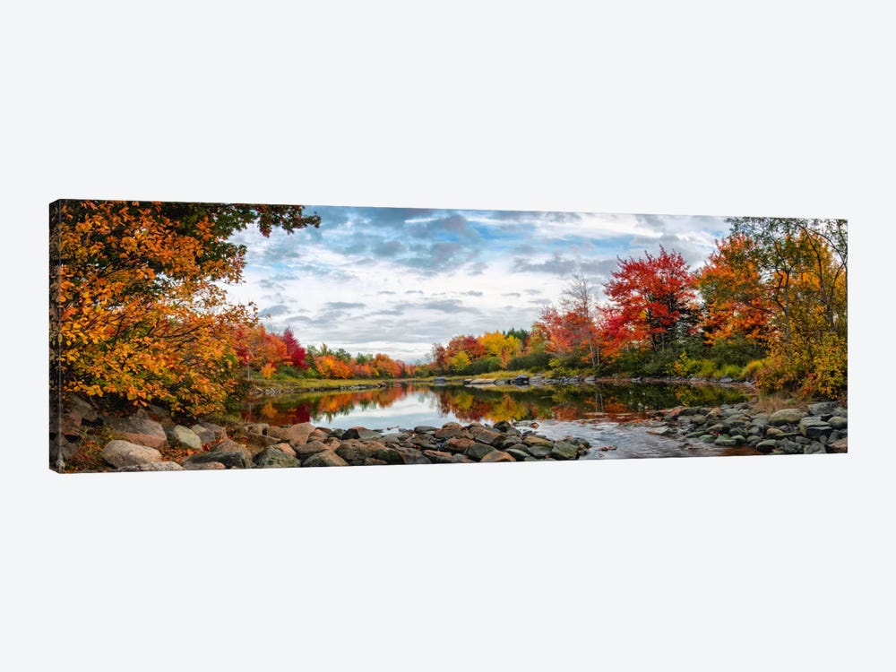 Autumn Forest Leaves Photo on Canvas Print Framed Wall Art Ready to Hang Decor 