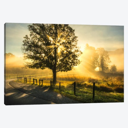 Wake Up Call Canvas Print #DNY51} by Danny Head Canvas Art