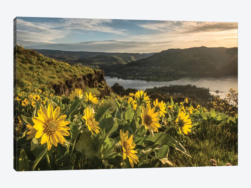 Soaking Up The Sun by Danny Head 1-piece Canvas Print