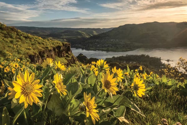 Danny Head: Soaking Up The Sun by Danny Head
