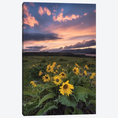 Sunset at The Gorge Canvas Print #DNY73} by Danny Head Canvas Wall Art