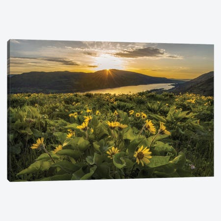 Wake Up Call Canvas Print #DNY75} by Danny Head Canvas Print