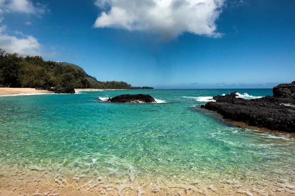 Danny Head: Paradise by Danny Head