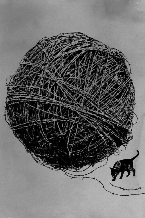 Curiosity by Rob Dobi wall art