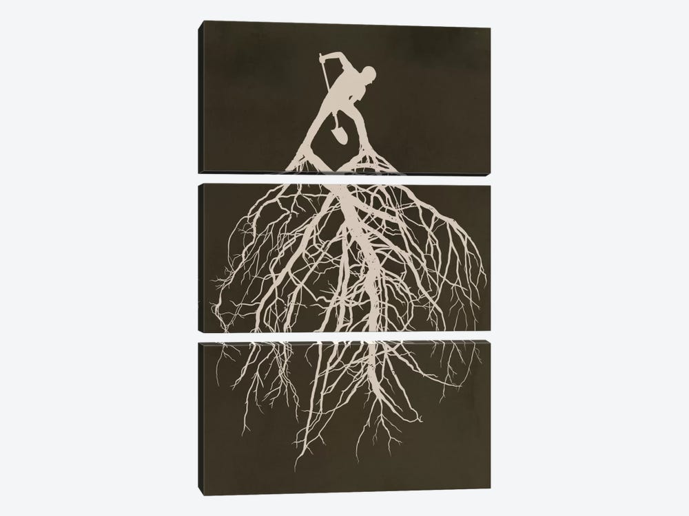 Know Your Roots by Rob Dobi 3-piece Canvas Art