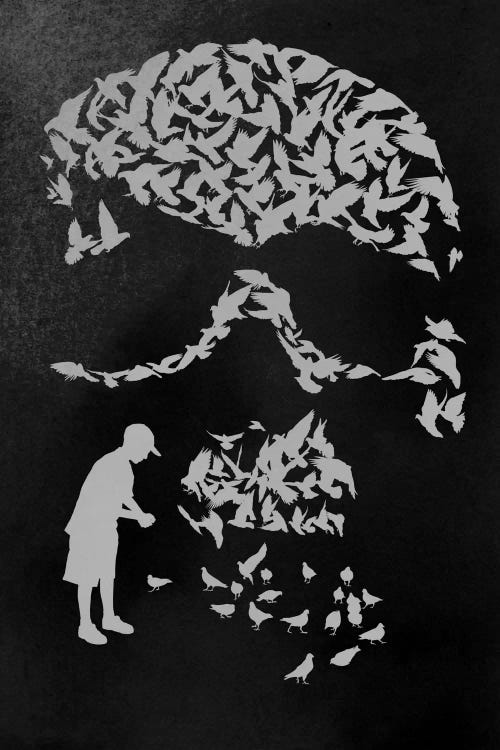 Pigeon Holed by Rob Dobi wall art