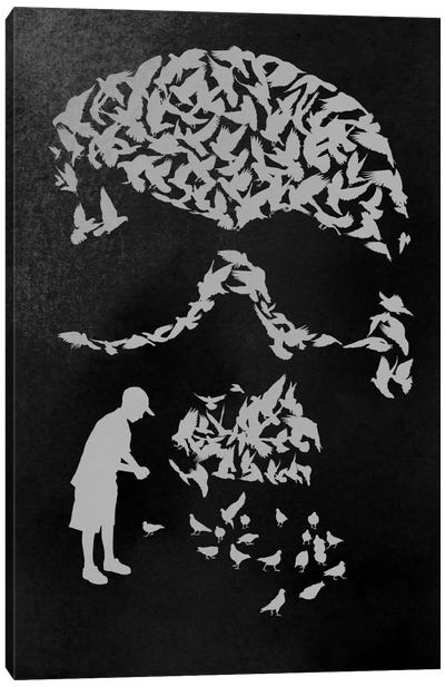 Pigeon Holed Canvas Art Print - Rob Dobi