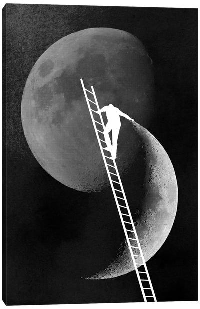 Light Side Of The Moon Canvas Art Print - Similar to Banksy