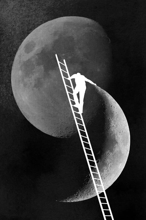 Light Side Of The Moon by Rob Dobi wall art