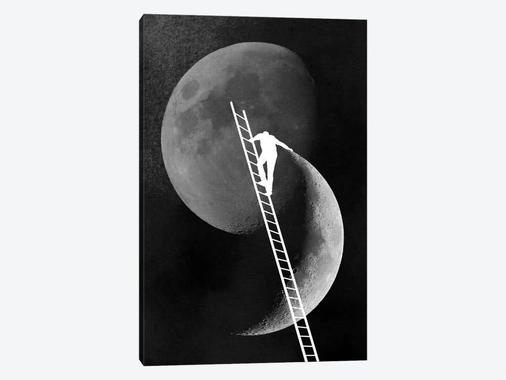 Light Side Of The Moon by Rob Dobi 1-piece Canvas Wall Art