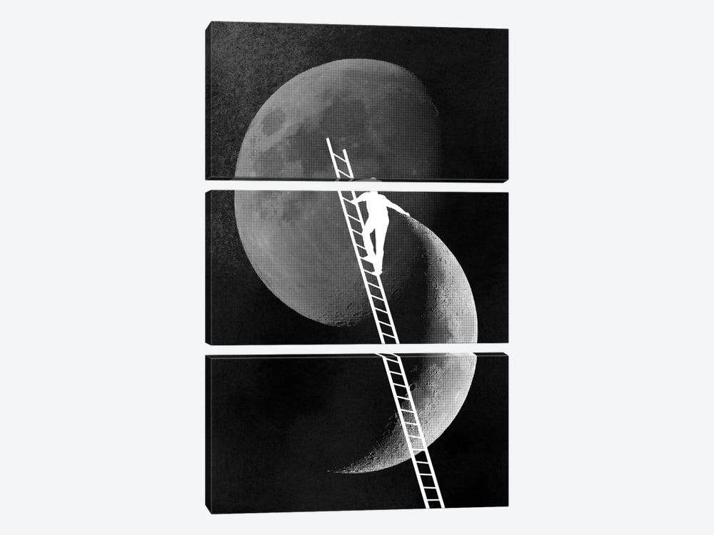 Light Side Of The Moon by Rob Dobi 3-piece Canvas Artwork