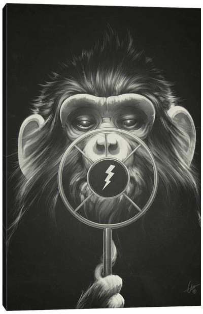 On Air Canvas Art Print - Primate Art