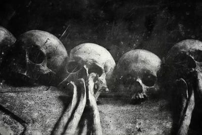 Once Were Warriors IV by Dr. Lukas Brezak canvas print