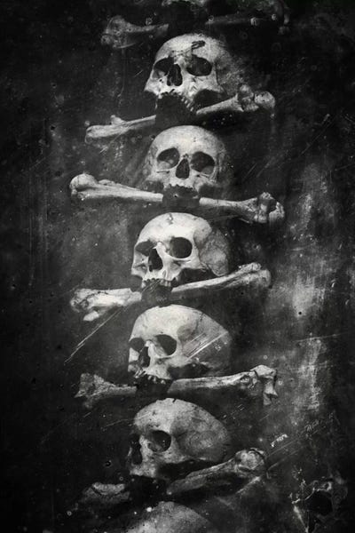 Once Were Warriors VI by Dr. Lukas Brezak framed wall art