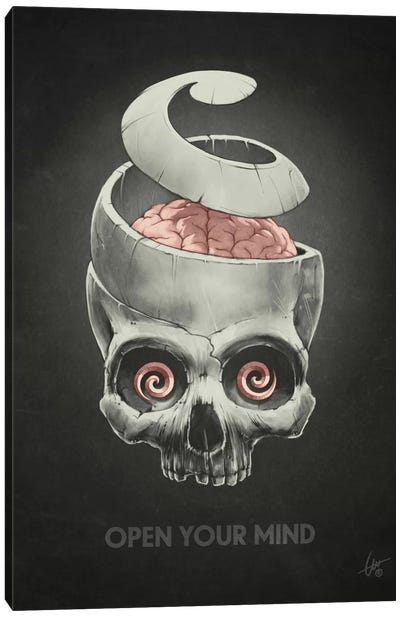 Open Your Mind Canvas Art Print - Dr. Lukas Brezak