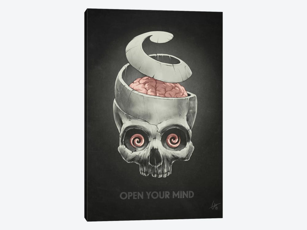 Open Your Mind by Dr. Lukas Brezak 1-piece Canvas Print