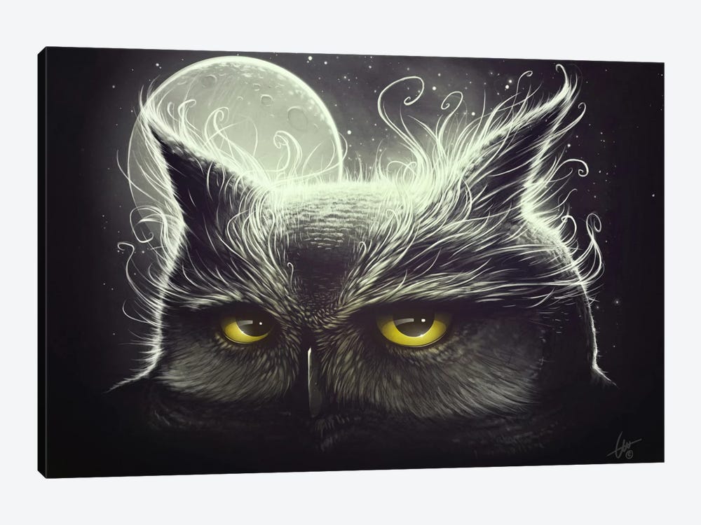 Owl And The Moon by Dr. Lukas Brezak 1-piece Canvas Artwork