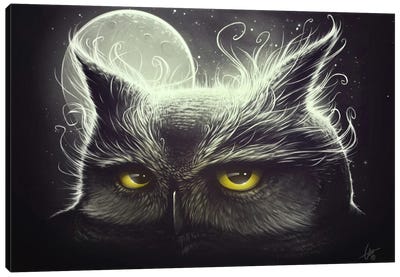 Owl And The Moon Canvas Art Print - Dr. Lukas Brezak