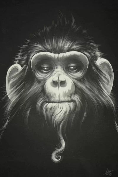 Prisoner I by Dr. Lukas Brezak framed wall art