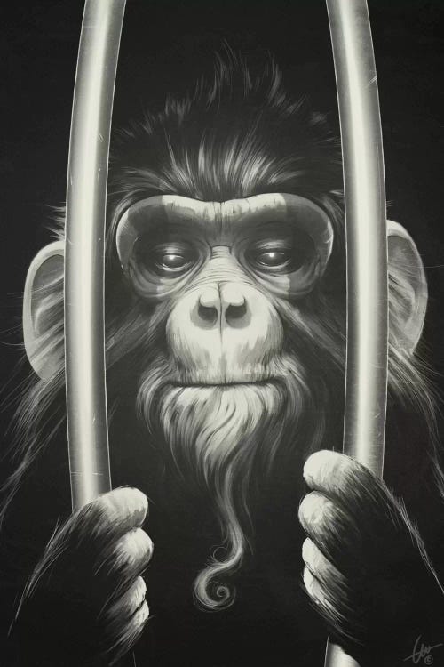 Prisoner II by Dr. Lukas Brezak wall art