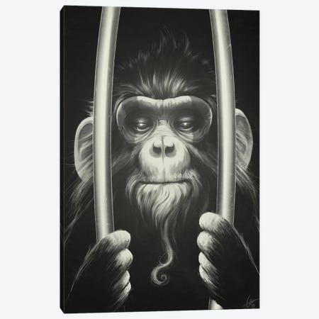 Prisoner II Canvas Print #DOC18} by Dr. Lukas Brezak Art Print